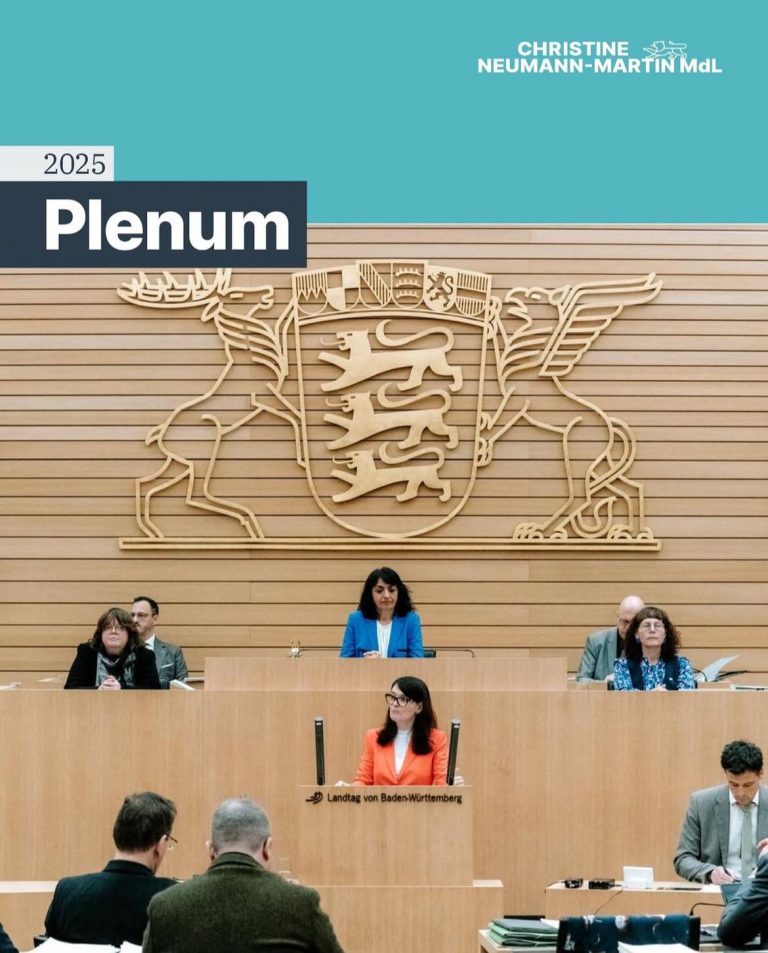 Halbtagsplenum im Landtag von Baden-Württemberg